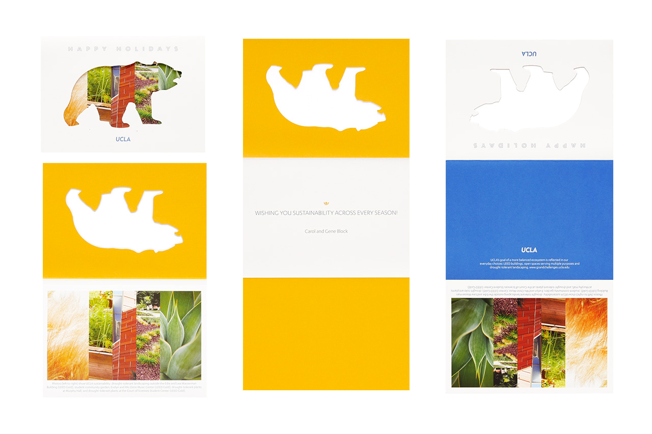 an image of a three panel direct mail piece showing a die cutout of a bear and abstract imagery